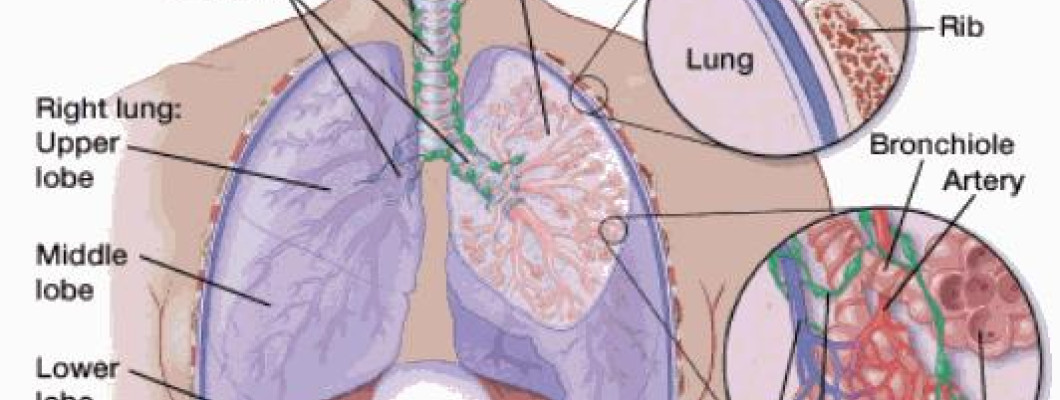 Best Lung Cancer Treatment Hospitals in India