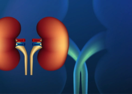 BEST HOSPITALS FOR KIDNEY TREATMENT IN INDIA