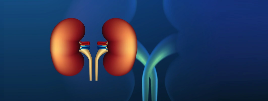 BEST HOSPITALS FOR KIDNEY TREATMENT IN INDIA